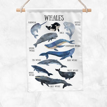 Load image into Gallery viewer, Whales Educational Banner
