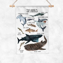 Load image into Gallery viewer, Sharks Educational Banner
