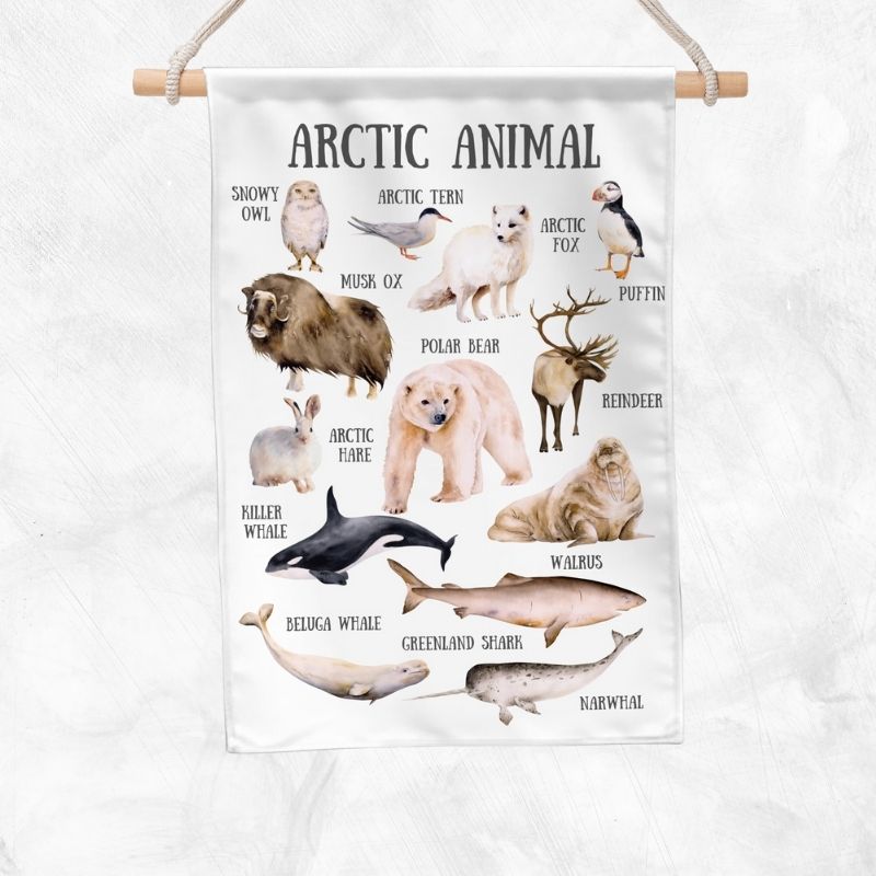 Arctic Animal Educational Banner