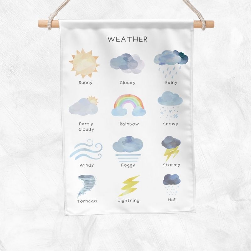 Weather Educational Banner