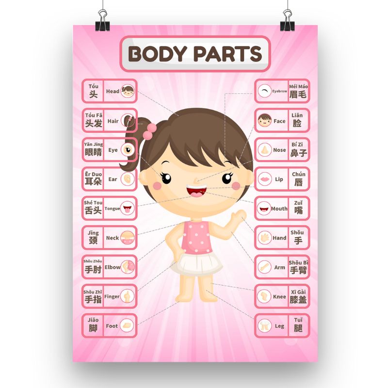 Body Parts - Girl