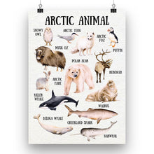 Load image into Gallery viewer, Arctic Animal
