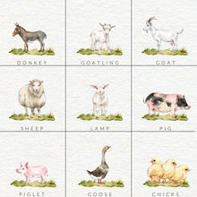 Load image into Gallery viewer, My Farm Animals
