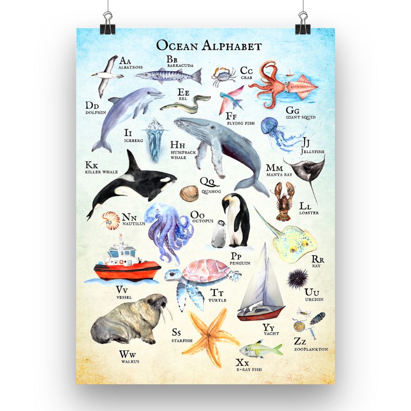Ocean Alphabet